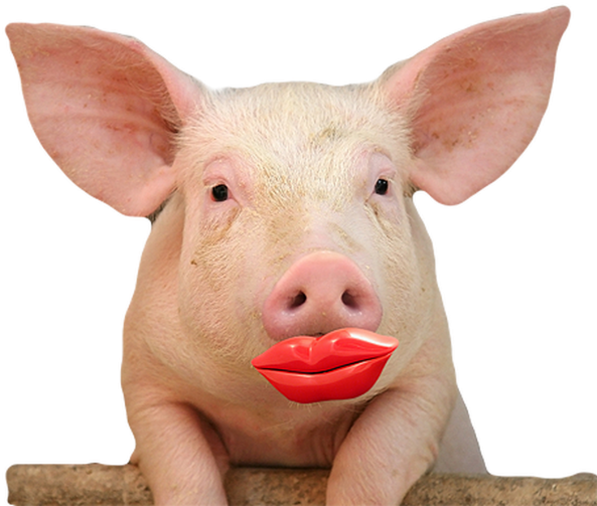 Lipstick on a pig